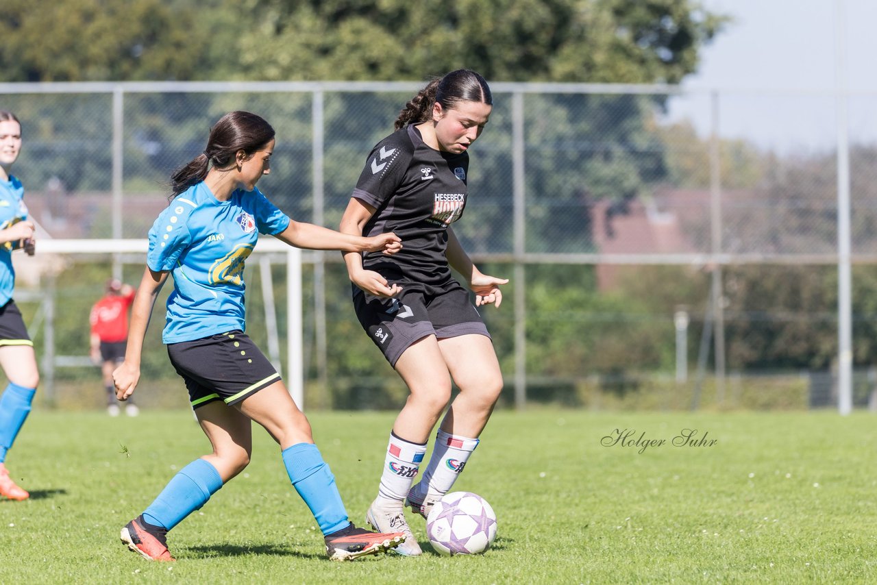 Bild 336 - wBJ SV Henstedt Ulzburg - FSG Oldendorf Itzehoe : Ergebnis: 2:5